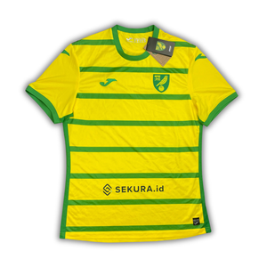 Norwich City 2023/24 Home Shirt (BNWT) - Size XL