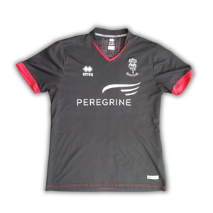 Descriptive image text